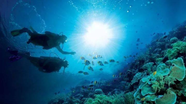深海鱼救援