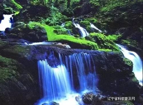 人活着为什么要遭那么多罪游戏画面