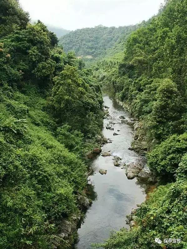 眼镜蛇秘密行动