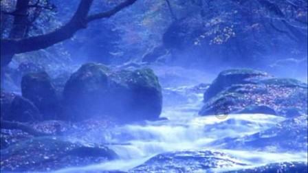 大炮篮球3选关版